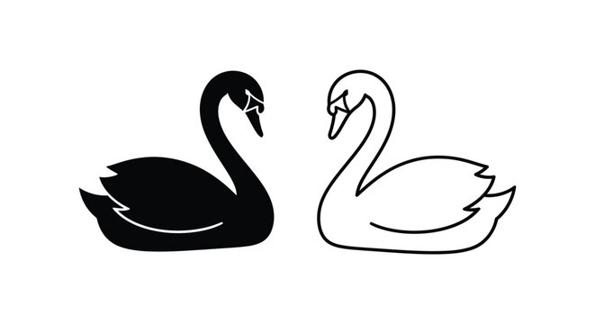 Black and White Swan Pair Art Design Vector