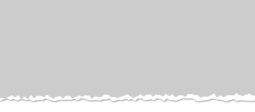 A gray paper sheet with a torn and jagged bottom edge isolated on a white background. Vector