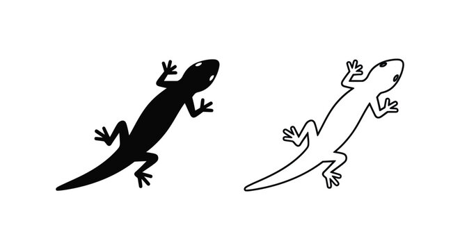 Black And White Gecko Lizard Illustration Guide Vector