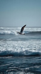 Fototapeta premium Seagull Soaring Over Ocean Waves