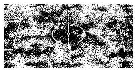 Soccer field with center circle and distressed grass texture in vintage etching style © AnimalZOO