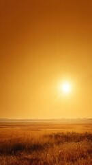 Fototapeta premium Sunset Over Golden Grass Field