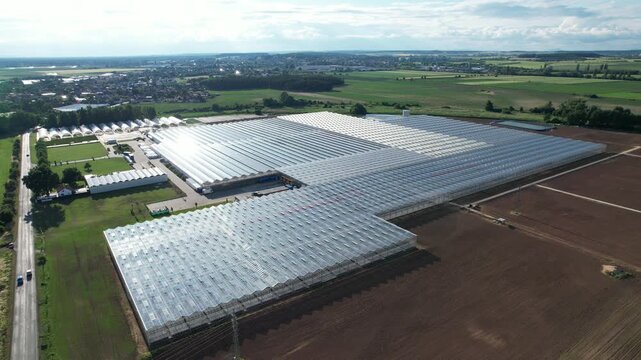 Large modern industrial greenhouses in flat landscape used for fruit and vegetable production captured as aerial panorama agriculture technology
