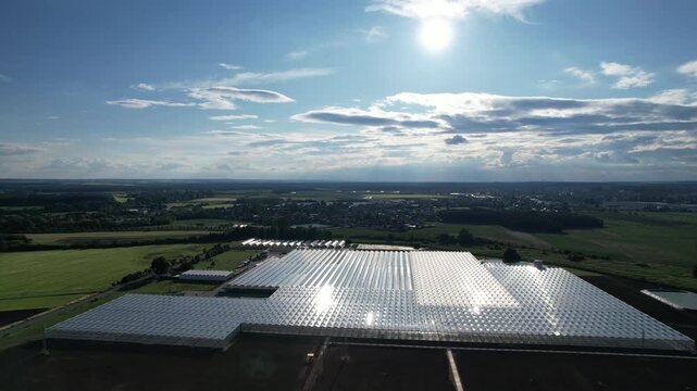 Large modern industrial greenhouses in flat landscape used for fruit and vegetable production captured as aerial panorama agriculture technology