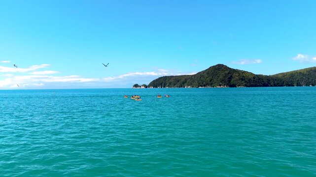 Aerial view of people kayaking on the turquoise waters near Abel Tasman National Park, contrasting with the lush green island, Abel Tasman National Park, Tasman Region, New Zealand.