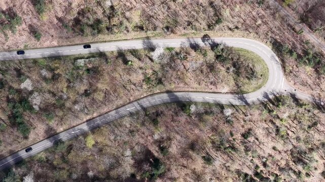 Aerial view of a winding road cuts through forest, with cars navigating the sharp turns and lush greenery, Kintzheim, Grand Est, France.