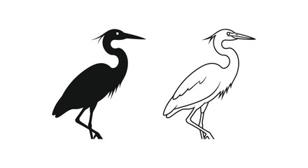 Fototapeta premium Black and White Heron Birds Illustration Guide Vector
