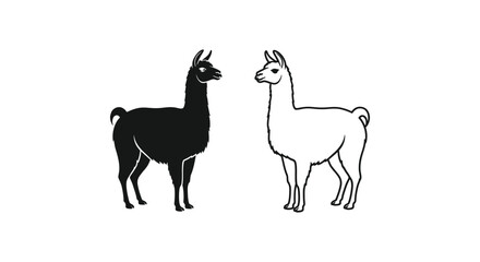 Fototapeta premium Llamas vs Alpacas Identifying Differences Guide Vector