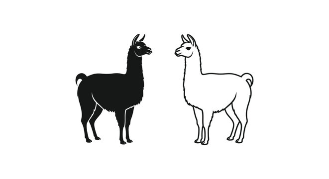 Llamas vs Alpacas Identifying Differences Guide Vector