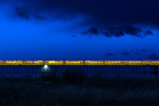 Canada, BC, Delta.  Large agricultural greenhouse with industrial light radiating from the roof at dusk.