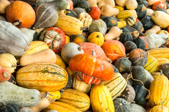 Canada, BC, Spences Bridge.  Hilltop Farm vegetable stand