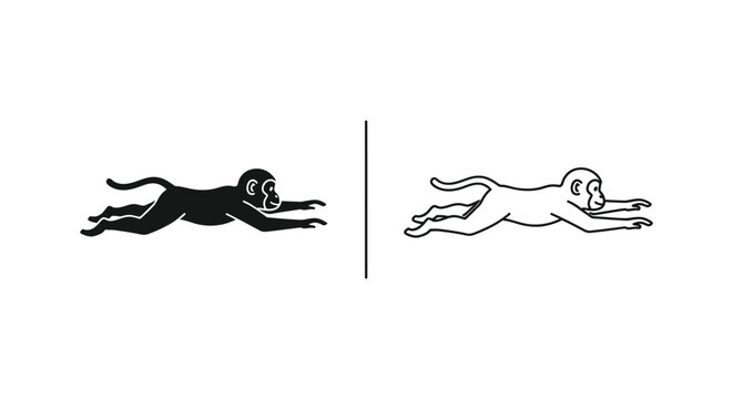Monkey vs Ape Brachiation Comparison Guide Vector