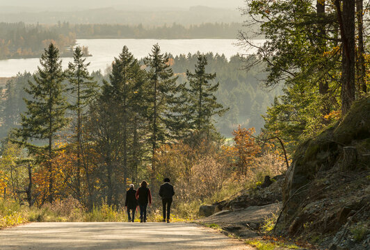 Canada, BC, Vancouver Island, Cowichan Bay.  A group of three people walking along country road in the fall.  Waters of the Georgia Strait and Saltspring Island visible in the distance.