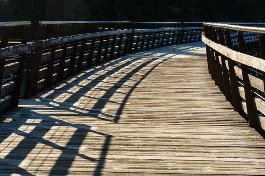 Canada, BC, Vancouver Island, Cowichan Bay.  The Kinsol Trestle, an old railway trestle bridge, now used as part of the Cowichan Valley hiking trail