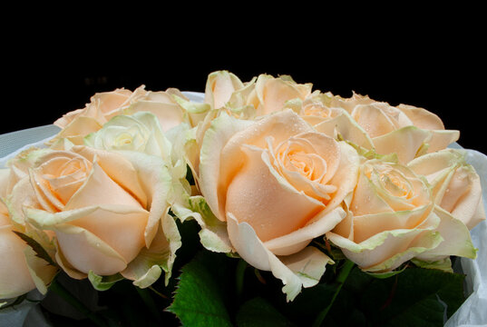 Bouquet of soft roses in a simple arrangement for a special occasion