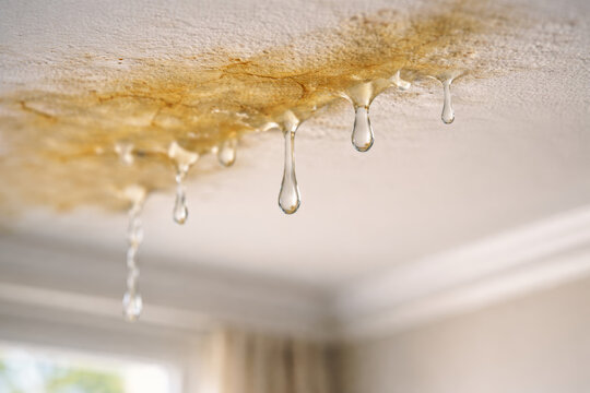 Water dripping from damaged ceiling with stains and moisture