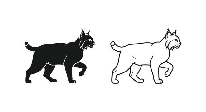 Lynx Cat Silhouette Comparison Design Guide Vector