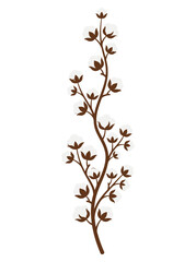 Fototapeta premium A cotton branch with fluffy white blooms, perfect for adding a touch of natural beauty to any design. 