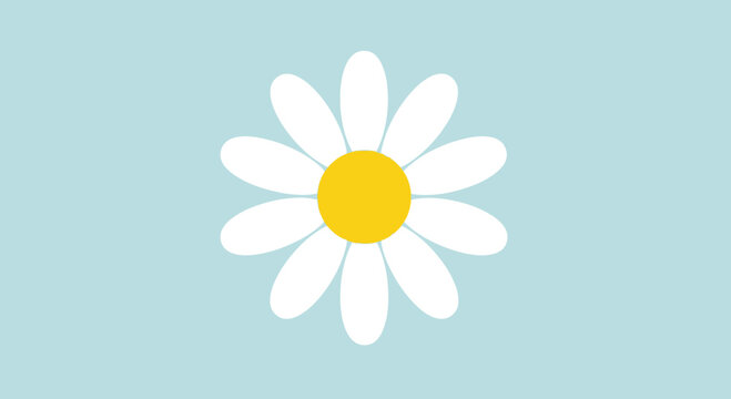 White daisy flower with yellow center.
