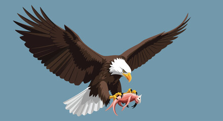 Obraz premium Bald Eagle Carrying Pink Prey Aerial.