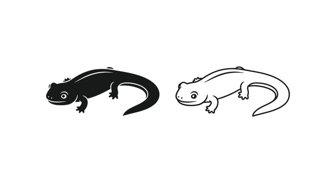 Salamander vs Newt Amphibian Comparison Guide Vector