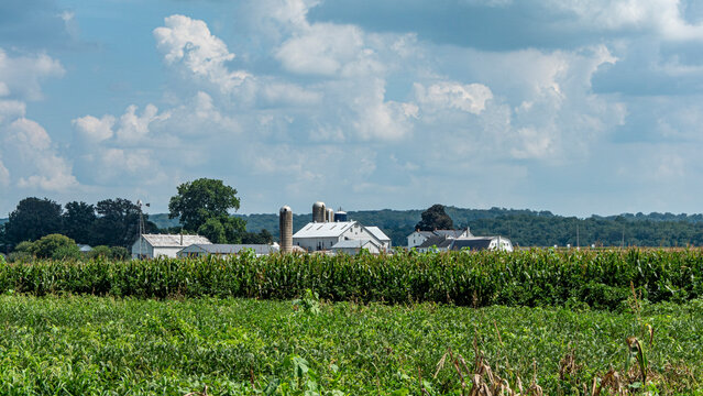 A farm is visible in the countryside. Fields of crops stretch across the land. White buildings and silos stand in the distance. The sky is filled with clouds on a sunny day.
