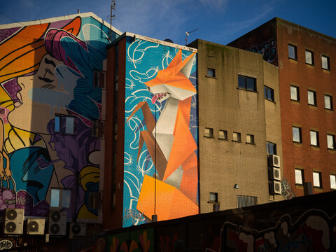 Belfast, Northern Ireland, United Kingdon, 30th October 2025, colour street art fox murals on buildings