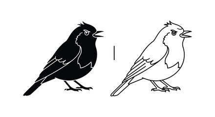 Obraz premium Black and White Bird Silhouette Comparison Guide Vector