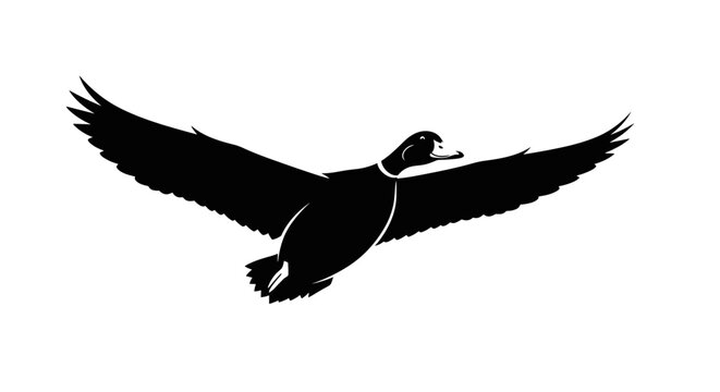 Black Duck in Flight Silhouette.