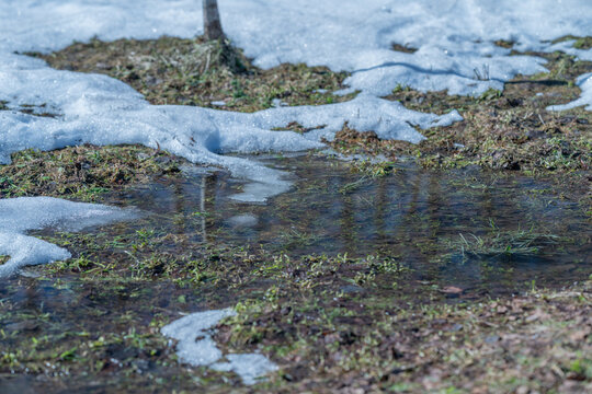 Patchy snow and spring melt water pooling across open field, shallow rivulets connecting small ponds, soft light casting faint reflections, damp earth awaiting new growth