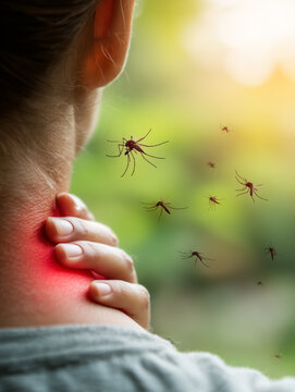 Mosquito biting human skin causing itch and redness, insect bite concept, close up of irritation and health risk in outdoor environment.