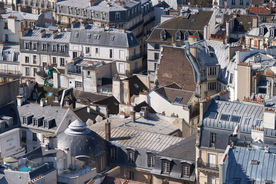 Paris rooftops with zinc mansard roofs and chimney stacks in spring light