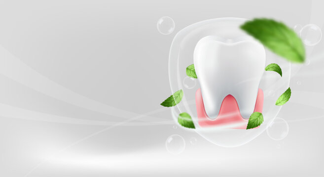 illustration featuring a clean white molar tooth and healthy pink gums protected inside a transparent liquid shield herbal freshness