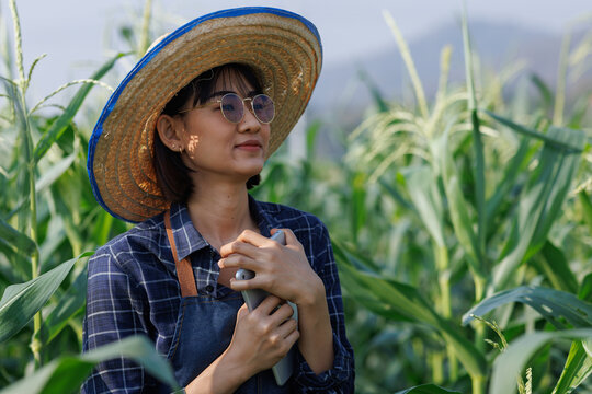 Young farmer woman checking corn field with tablet