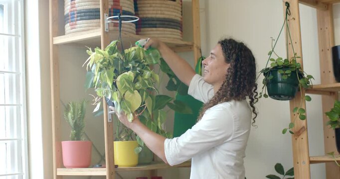 Noticing leaves nonbinary person steadying, misting pothos by window with green mister, copy space