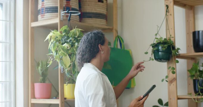 African American non-binary plant keeper consulting tablet by window checking hanging pot for care