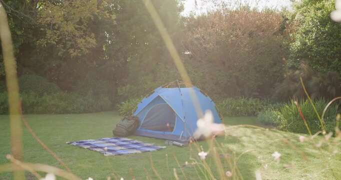 Breeze lifting grasses and sunlight making lens flares, revealing dome tent and backpack on lawn