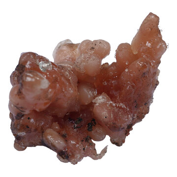 Unique tree sap