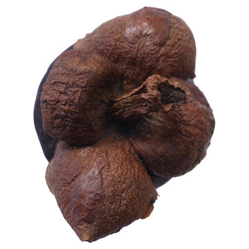 Dried Mangosteen Fruit