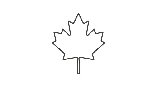 Minimalist vector graphic illustration of a canadian maple leaf shape featuring clean simple black outlines isolated on a white background for professional creative design projects