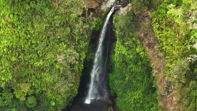 Sendang Gile Waterfall gracefully descends through a vibrant, dense tropical jungle, showcasing the stunning natural beauty and power of water in a serene environment. Indonesia nature exploration