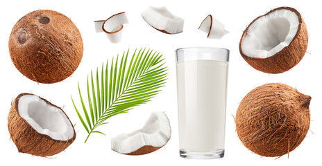 Isolated coconut set. Collection of coconuts, halves and slices, a glass of milk, and a palm leaf on a transparent background. © Denis Petrovskikh