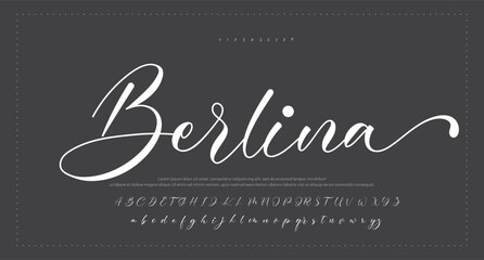  Script Brush Font Type Font lettering handwritten   © sayka