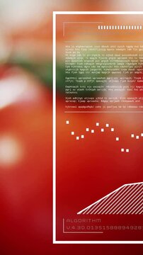 Vertical video: Cam pulling back, shifting focus over tomato in agritech scan, HUD scanning quality