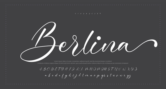  Script Brush Font Type Font lettering handwritten  