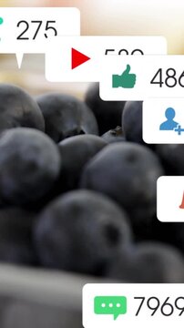 Vertical video: Frames advancing berries staying still while bubbles with icons counting for food