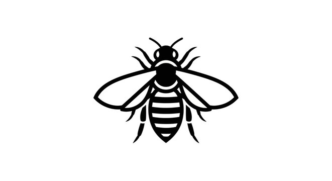 Stylized black and white illustration of a honey bee, perfect for logos and natural branding projects