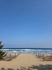 Fototapeta premium Sandy path leading to the blue sea with rope fences under a clear sky