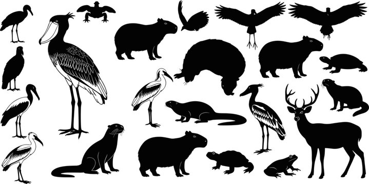 Collection of South American wildlife silhouettes, featuring capybaras, giant otters, wood storks, jabirus, marsh deer, caimans, and frogs, isolated on a dark background.