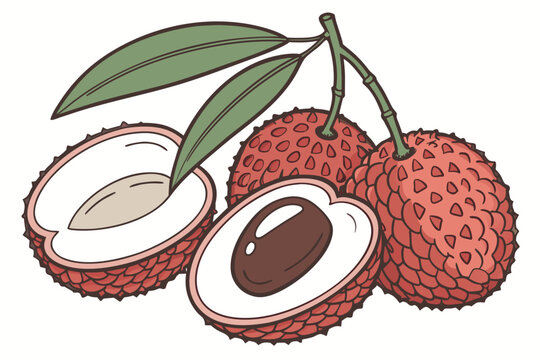 vector illustration of a cherry
